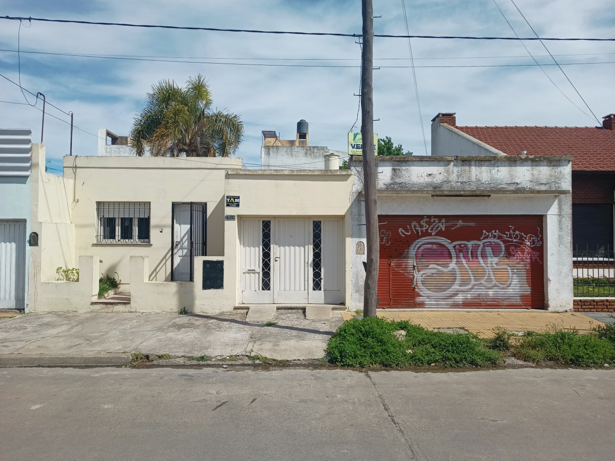 Casa + Local 